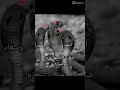 ذني مو أسماء وسعاد وأمطار هذني عمتي ذني مو أسماء وسعاد وأمطار هذني عمتي