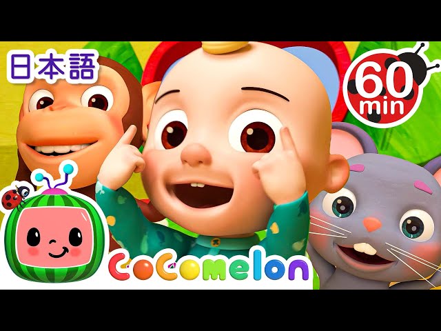 育児の認識学: こどものアタマとココロのはたらきをみつめて 育児の認識学: こどものアタマとココロのはたらきをみつめて