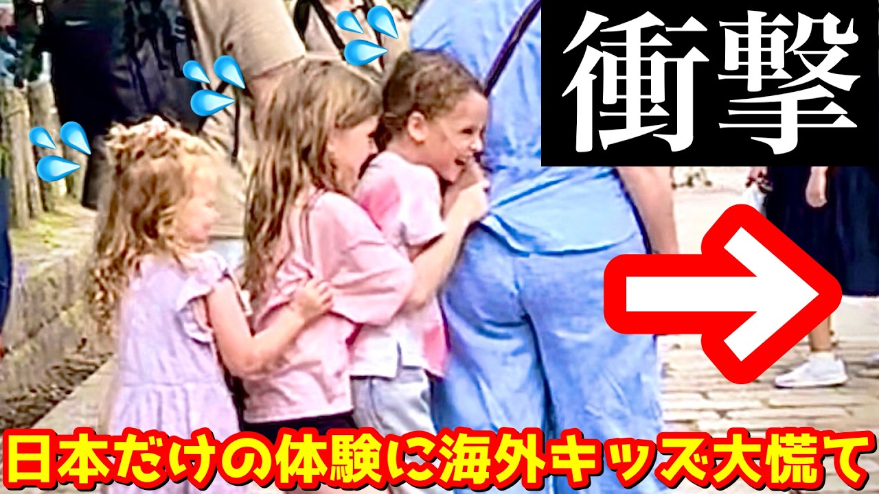 奈良公園で初めて鹿を見た海外キッズの反応集1時間耐久