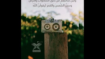 اجمل تلاوه | تلاوات خاشعه | فضيلة الشيخ عبدالعزيز الاحمد