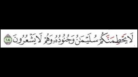 سورة النمل الآية 18