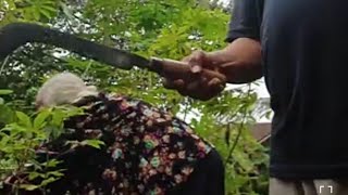 Download Lagu Perbuatan yg tdk patut di tiru #2dtrending, mencabut singkong MP3