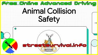 Avoid Animal Collisions: Critical Driving Tips That Save Lives