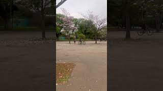 Parte 2 de bike no Ibira 😂 #ibirapuera #sp #bike #aprendiz #shorts #viral