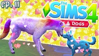 Unicorn Puppies!! - The Sims 4: Raising YouTubers PETS - Ep 11 (Cats & Dogs) screenshot 3