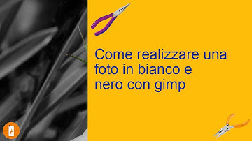 Come realizzare una foto in bianco e nero con gimp