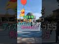 中途半端に平日午後2時からディズニーシーに行ったら何ができるかしら #ディズニー #disney #ディズニーシー #shorts