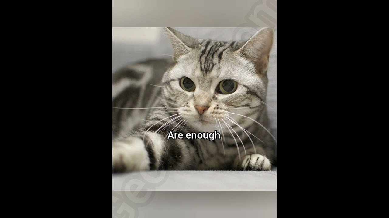 Ты достаточно хороша 