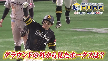 【公式】2025年8月30日(土)9:55～放送予告「福岡NEWSファイル CUBE」 | テレビ西日本