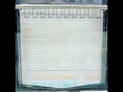   التقنية الذهبية لفصل البروتينات بدقة عالية