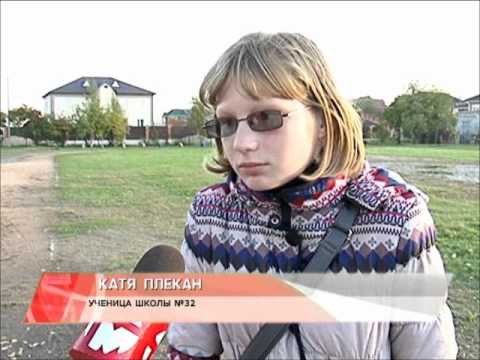 Выгул собак