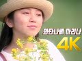 [4K 60FPS] 와타나베 마리나(渡辺満里奈) 4K AI Upscaling