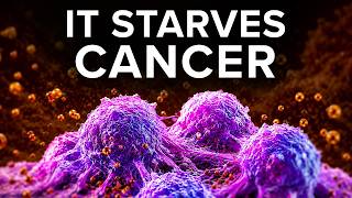 "This Food Can Regrow Stem Cells & STARVE CANCER!" - What You NEED TO KNOW!