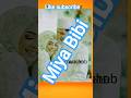 sohar la ahamyat#islamihades#khanshab#shortsvideo#shortviral#beasshort#powerfulshort