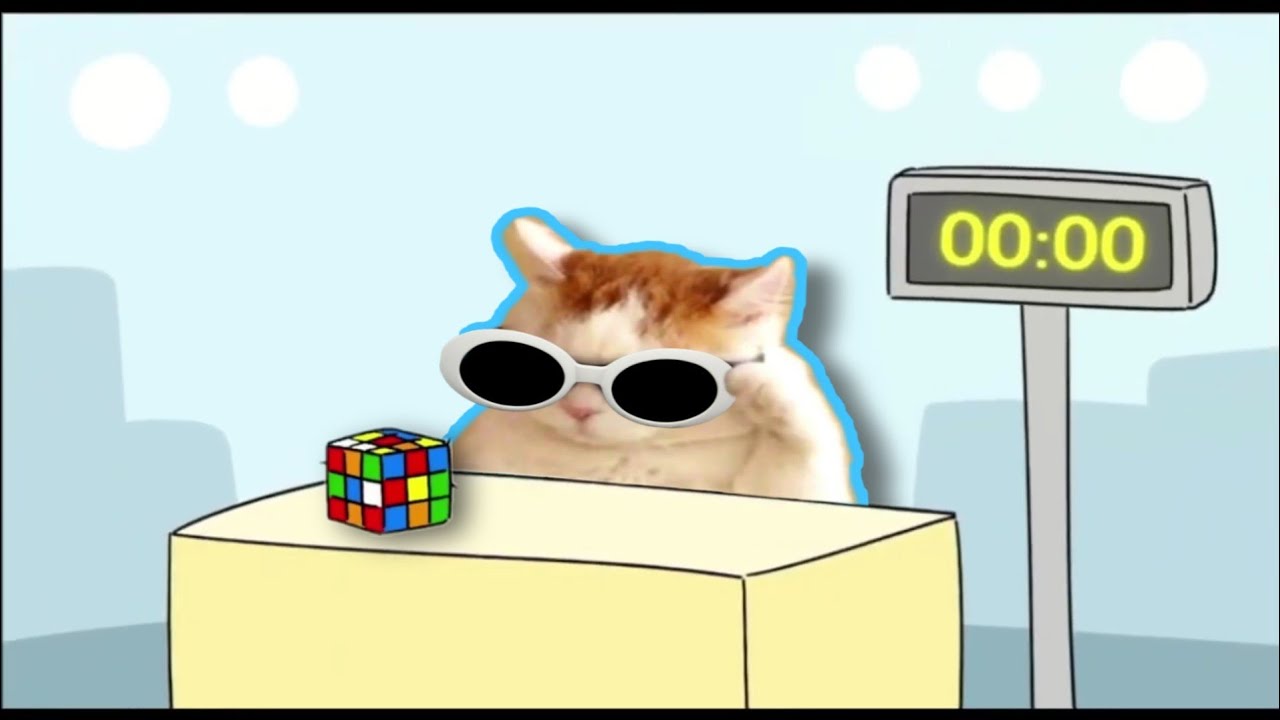 Nikkat собирает кубик Рубика