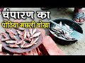 CHAMPARAN FISH CHOKHA RECIPE| पोठिया मछली का चोखा -Machhli ka Chokha | EAST CHAMPARAN FISH BHARTA