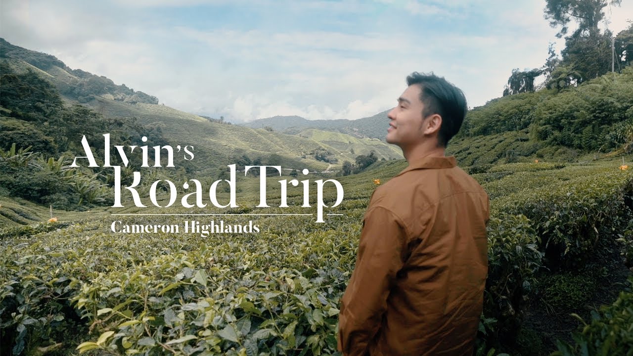 Alvin's Road Trip: Cameron Highlands