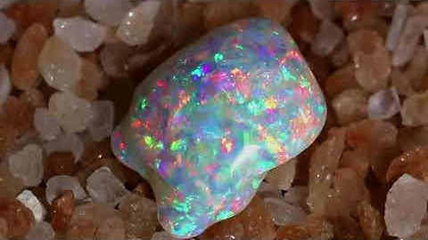 Phylum:  Mollusca , Class:  Bivalvia Opal