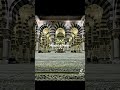 Love Madinah