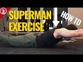 Superman Exercise For The Back LOW BACK AND CORE EXERCISES 