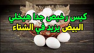 كيس رخيص هيخلي البيض يزيد وكمان يكبر بسرعة ويخلي صحة فراخك مناعة قوية  ميجلوش امراض #طيور_فوق_السطح