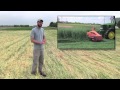 Sustainable Farming Methods: Cover Crops & Strip-till, Row Covers, and Pest Scouting