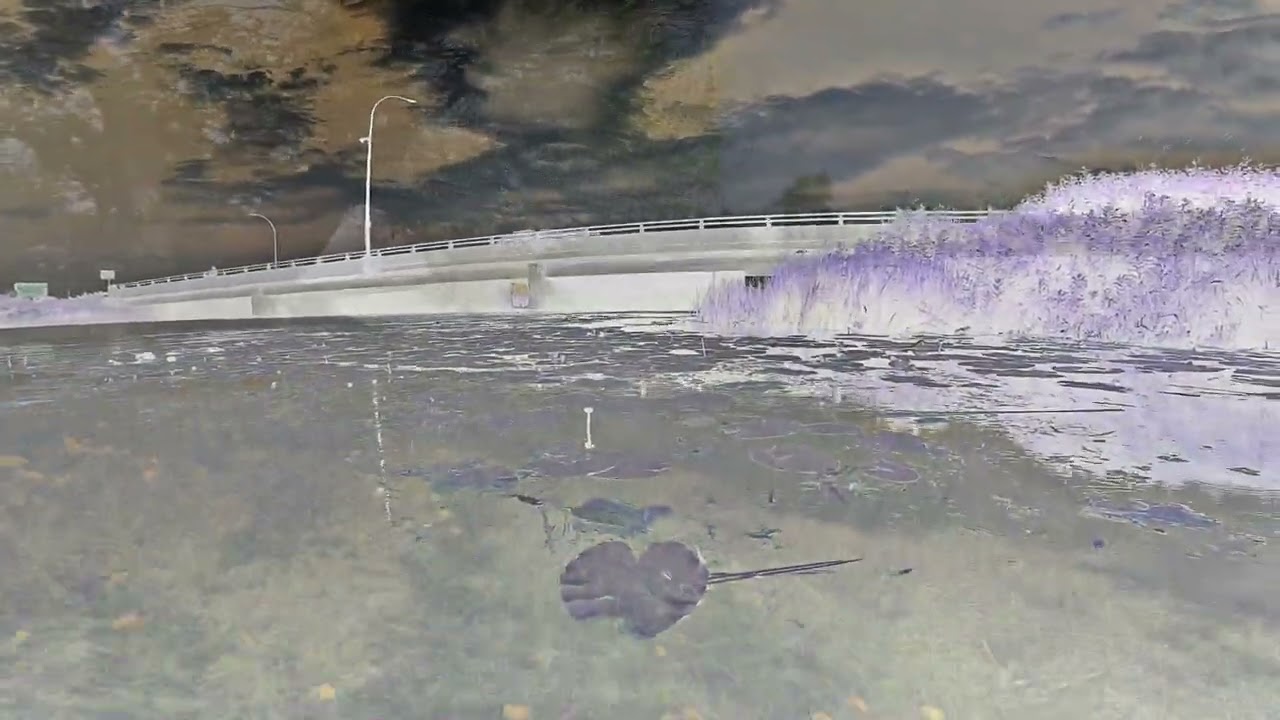 K.L.B. - Evil Ink (Music Video)