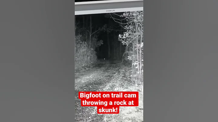 Bigfoot on Trail Camera Throwing a Rock at a Skunk! | Squatch Watchers Short Rewind