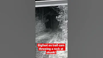 Bigfoot On Trail Camera Throwing A Rock At A Skunk Squatch Watchers Short Rewind 