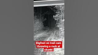Bigfoot on Trail Camera Throwing a Rock at a Skunk! | Squatch Watchers Short Rewind