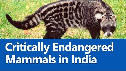 Critically Endangered Mammals in India (IUCN Red List) - Roman Saini [UPSC CSE/IAS Preparation]