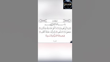 سورة المسد/صوت الشيخ سعد الغامدي