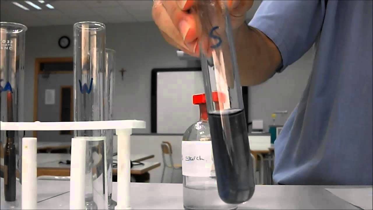Enzyme experiment amylase, starch, iodine - YouTube