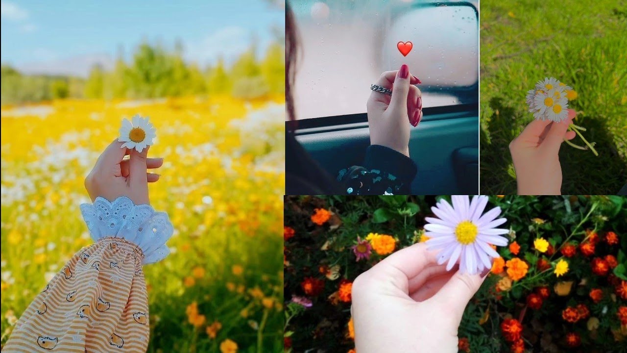 Girls hand dpzGirl Hand dp for Whatsapp Whatsapp profile dpz YouTube