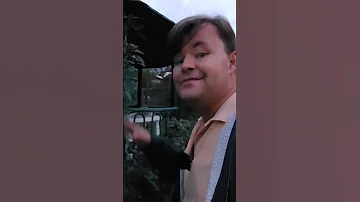 НИКОГДА НЕ #ОБРЕЗАЙТЕ #РОЗЫ ОСЕНЬЮ. ПОДГОТОВКА РОЗ К ЗИМЕ.