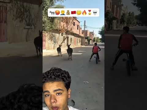 إستطاع أن يمسك بهم برغم انهم هربوا عمل حمار دراجة ركوب شارع