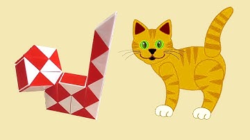 Cat from 24-Piece Snake