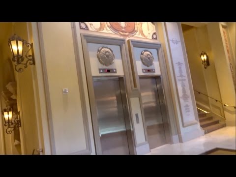 Forum Shops at Caesars Palace  Mitsubishi Electric Elevators and