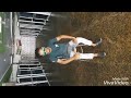 new song happy raikoti man tan vi Whatsapp Status Video Download Free