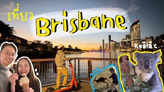 🇦🇺EP.4 เที่ยวบริสเบน ออสเตรเลีย เล่นจิงโจ้ดูโคอาลาแบบใกล้ชิด​⁠/brisbane vlog, Australia vlog