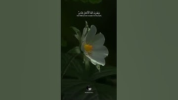 {نور على نور يهدي الله لنوره من يشاء}🤍 القارئ شريف مصطفى 🥺