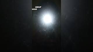 Download Lagu Bapak ku nelayan MP3 Download Lagu Bapak ku nelayan MP3