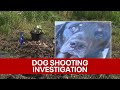 Kaufman County sheriff won&#39;t release outcome of investigation after deputy shoots family dog