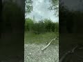 Узкоколейное депо в деревне дальняя