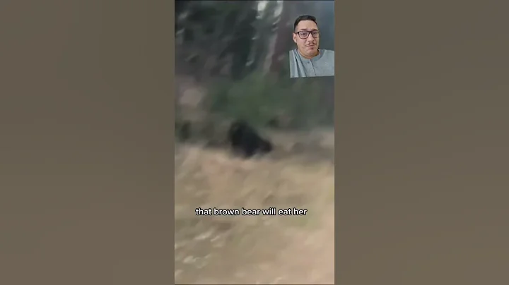 Black bears don't stand a chance against Grizzlys