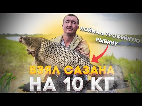 Видео: Я В ШОКЕ, Я ПРОСТО НЕ ОЖИДАЛ ЧТО КЛЮНЕТ ТАКОЙ МОНСТР!!! ТРОФЕЙНЫЙ СИБИРСКИЙ САЗАН НА ДОНКУ!!!