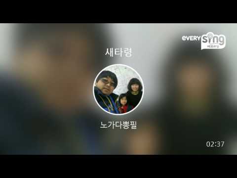 [everysing] 새타령