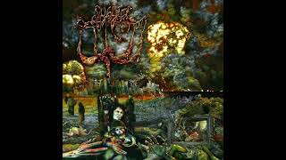 Sublime Cadaveric Decomposition -  Inventory Of Fixtures - 2007 (France) Death/Grind