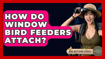 How Do Window Bird Feeders Attach? - Bird Watching Diaries