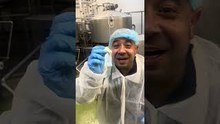 Chef Mario Gives Us An Exclusive Look At Kaval, Showing How Cow-Milk Kashkaval Cheese Is Made.